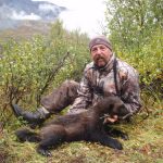 Alaska Wolverine Hunt