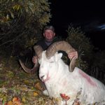 Hunting Dall Sheep with Kelly Vrem - Alaska