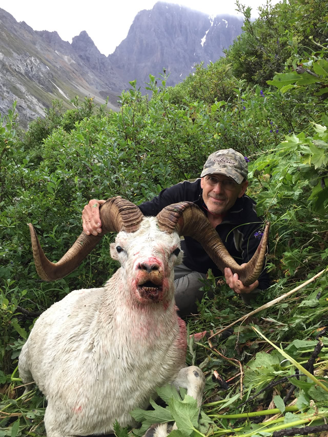 Sheep Hunt with Kelly Vrem