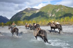 moose packer river crossing